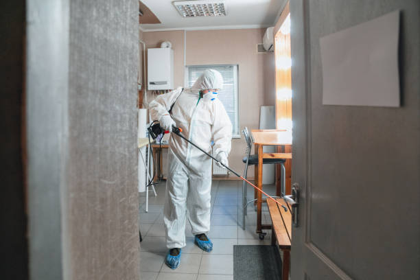 Best Industrial Mold Remediation  in Shafer, MN