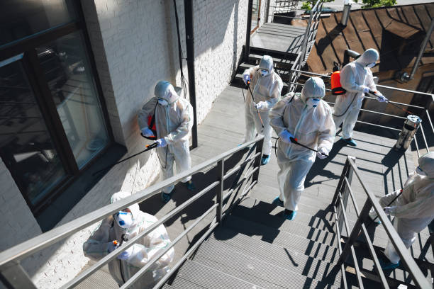 Best Mold Damage Restoration  in Shafer, MN