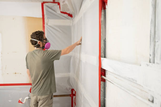Best Crawl Space Mold Remediation  in Shafer, MN