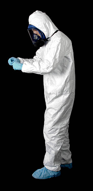 Shafer, MN Mold Removal Company