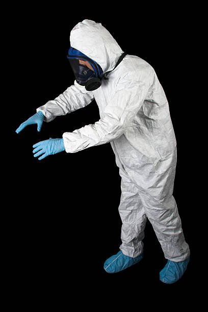 Best Asbestos and Lead Testing During Mold Inspection  in Shafer, MN