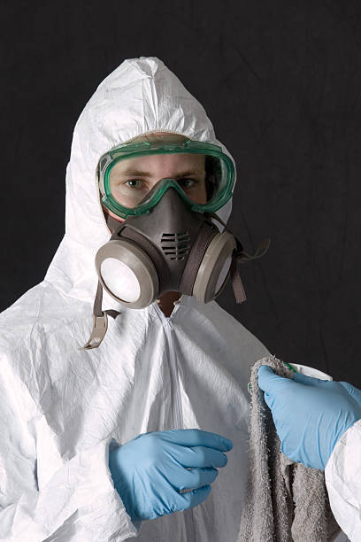 Best Emergency Mold Remediation  in Shafer, MN